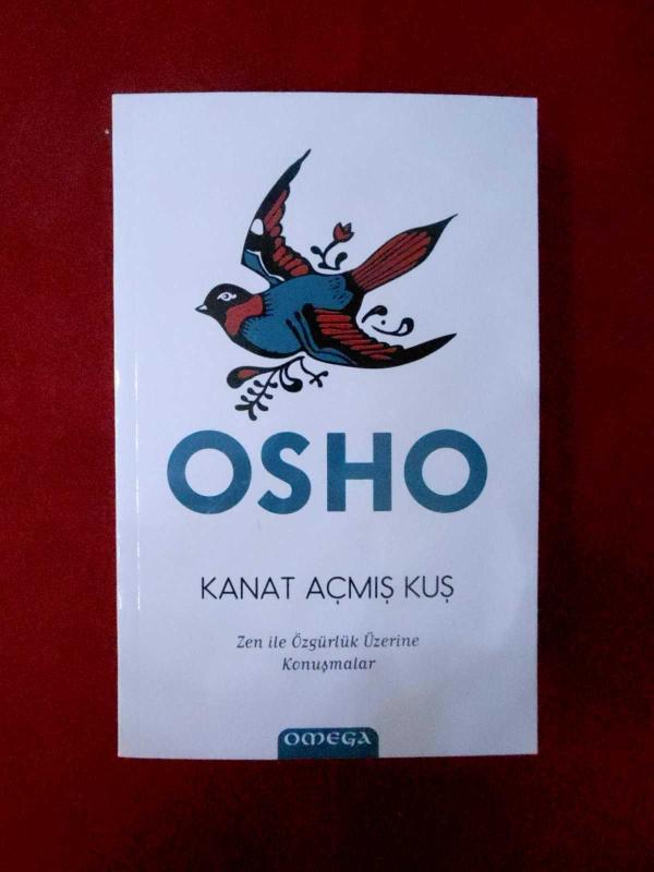 Kanat Açmış Kuş