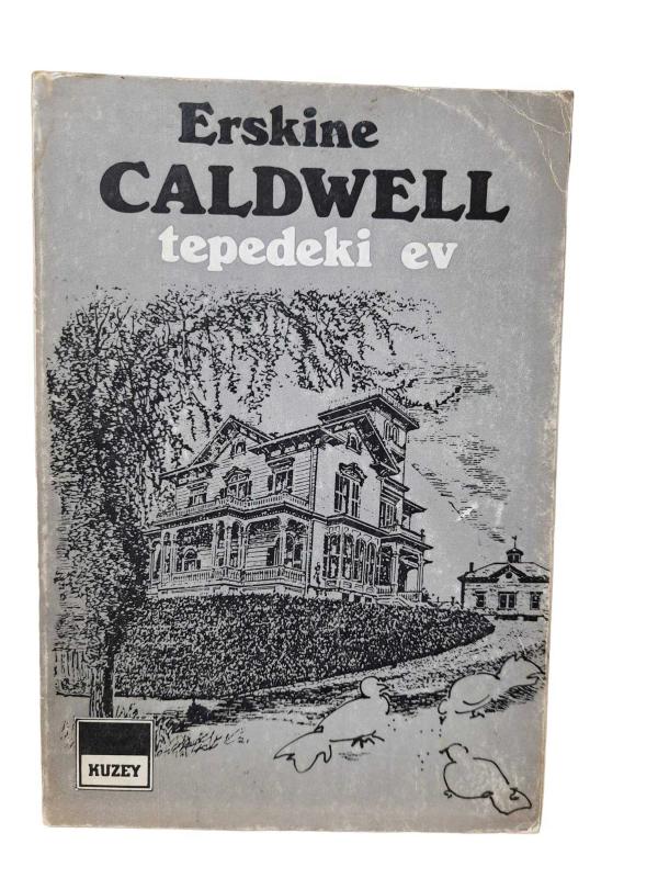 Tepedeki Ev
