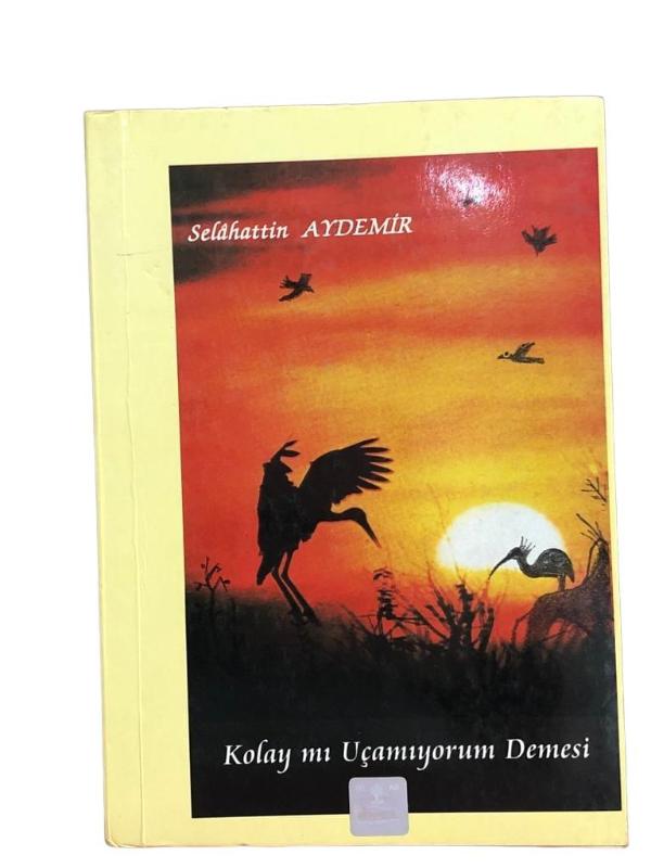Kolay mı Uçamıyorum Demesi