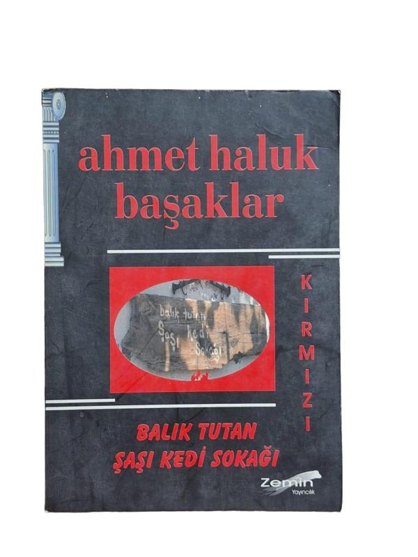 Balık Tutan Şaşı Kedi Sokağı - Kırmızı