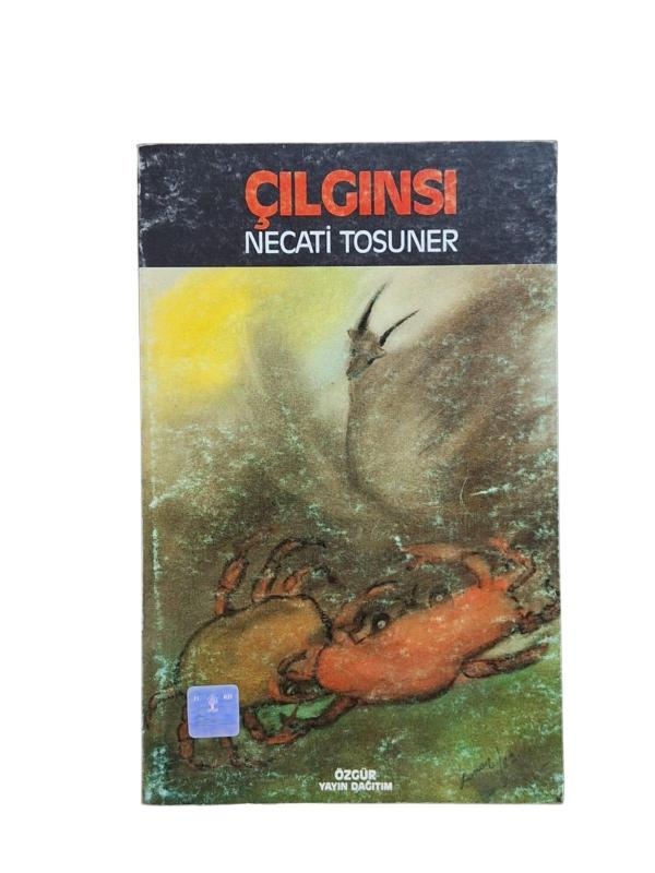 Çılgınsı