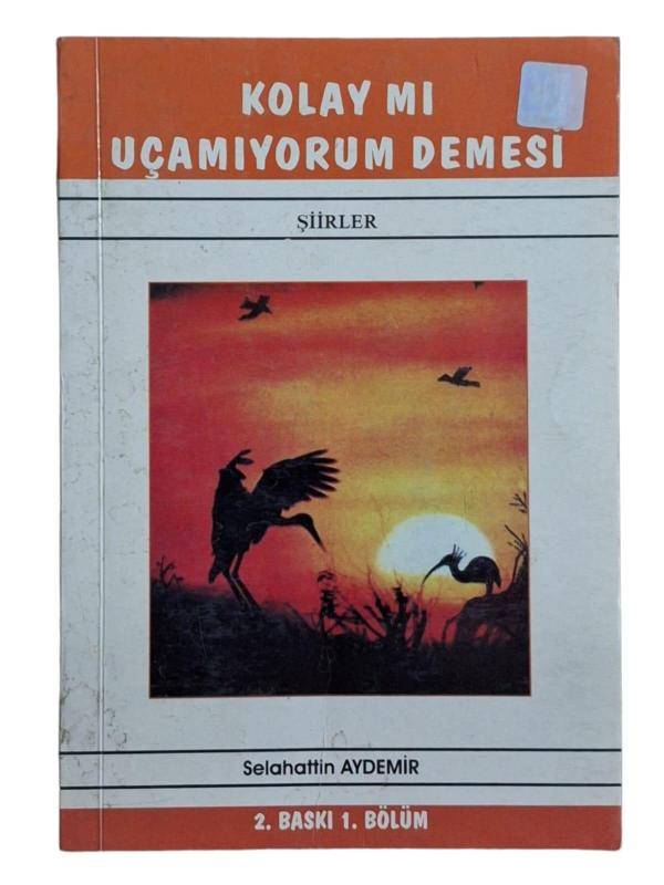 Kolay Mı Uçamıyorum Demesi