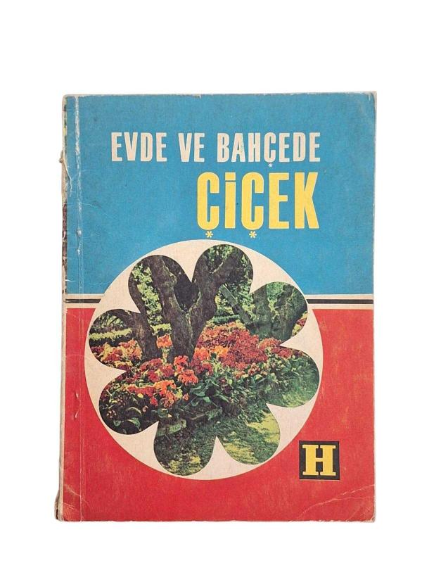 Evde ve Bahçede Çiçek