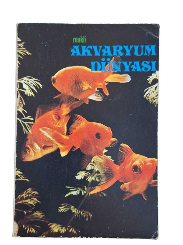 Renkli Akvaryum Dünyası
