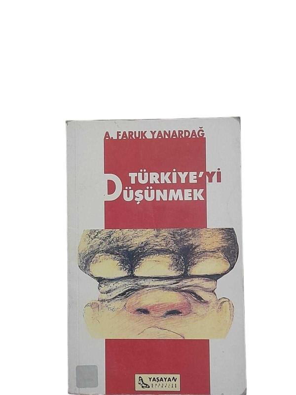 Türkiye'yi Düşünmek