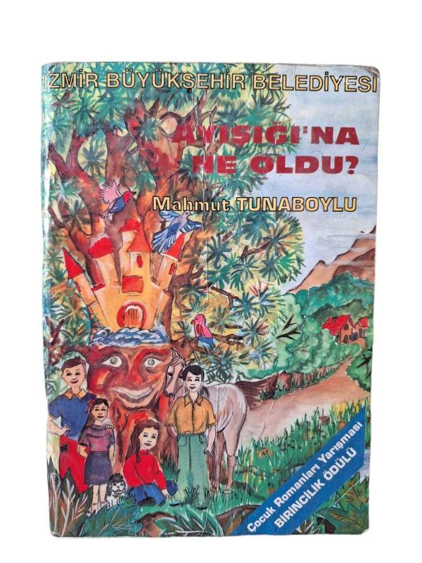 Ayışığına Ne Oldu