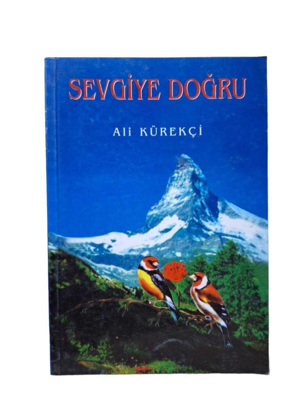 Sevgiye Doğru