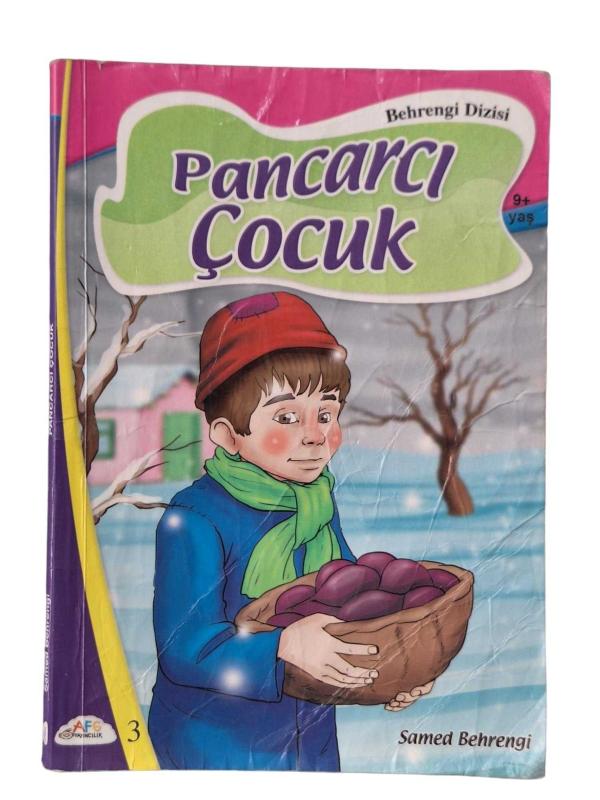 Pancarcı Çocuk