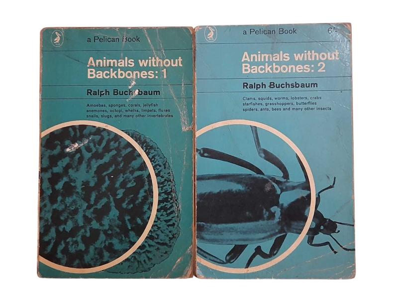 Animals Without Backbones: 1-2