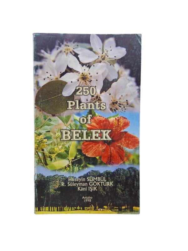250 Plants of Bellek