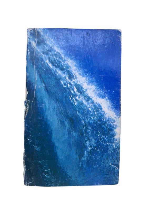 The Sea Wife
